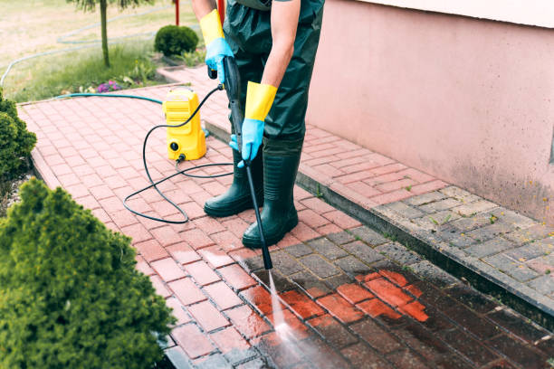 Boat and Dock Cleaning in Phoenix, IL